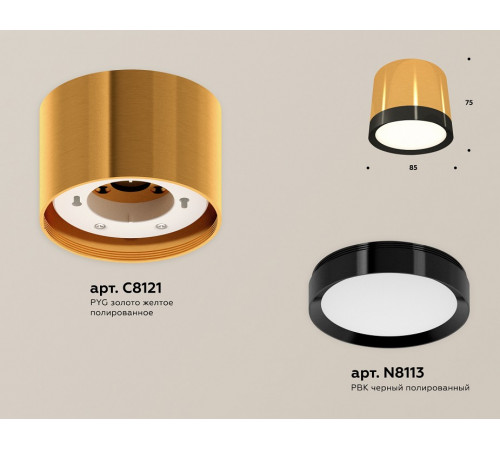 Потолочный светильник Ambrella Light Techno Spot XS8121001 (C8121, N8113)