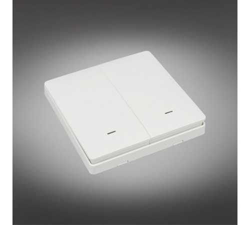 Выключатель двухклавишный Aployt Magnetic track 220 APL.0190.00.02 Выключатель двухклавишный Aployt Magnetic track 220 APL.0190.00.02