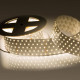 Светодиодная лента Arlight RT 2-2500 24V White6000 5x2 (2835, 875 LED, LUX) 019082(B)