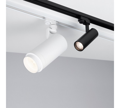 Трековый светодиодный светильник Arlight LGD-Gera-2TR-R55-10W Day4000 025937(1)