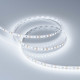 Светодиодная лента Arlight RT-A120-8mm 12V Cool 8K (14.4 W/m, IP20, 2835, 5m) 028568(2)