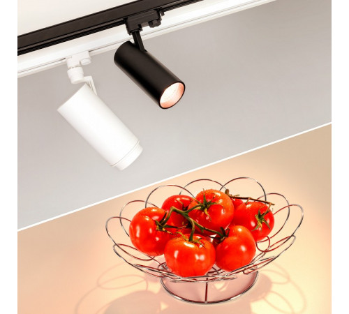 Трековый светильник Arlight Zeus Food 032455