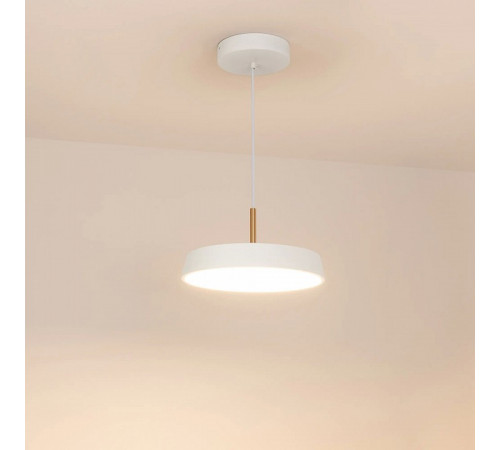 Подвесной светильник Arlight SP-ELEGANT-R300-17W Warm3000 (WH, 120 deg, 230V) 033914(1)