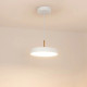 Подвесной светильник Arlight SP-ELEGANT-R300-17W Warm3000 (WH, 120 deg, 230V) 033914(1)