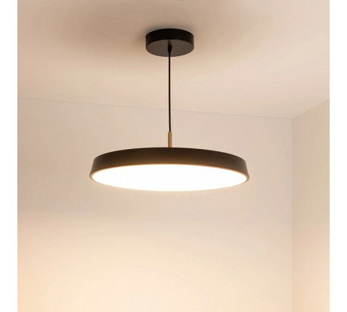 Подвесной светильник Arlight SP-ELEGANT-R500-37W Warm3000 (BK, 120 deg, 230V) 033922(1) Подвесной светильник Arlight SP-ELEGANT-R500-37W Warm3000 (BK, 120 deg, 230V) 033922(1)