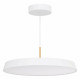 Подвесной светильник Arlight SP-ELEGANT-R500-37W Warm3000 (WH, 120 deg, 230V) 033925(1)