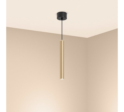 Подвесной светильник Arlight SP-PIPE-HANG-L300-R30-9W Warm3000 (GD, 24 deg, 230V) 038618