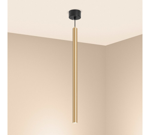 Подвесной светильник Arlight SP-PIPE-HANG-L600-R30-9W Warm3000 (GD, 24 deg, 230V) 038644