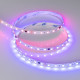 Светодиодная лента Arlight SPI-B60-10mm 24V RGB-PX6-BPT (12 W/m, IP20, 5060, 5m) 039180