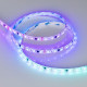 Светодиодная герметичная лента Arlight SPI-SE-B60-10mm 12V RGB-PX3-BPT (12 W/m, IP65, 5060, 5m) 039597