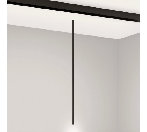 Трековый магнитный светильник Arlight MAG-ORIENT-SPOT-HANG-L600-R12-2W Day4000 (BK, 20 deg, 48V) 044501