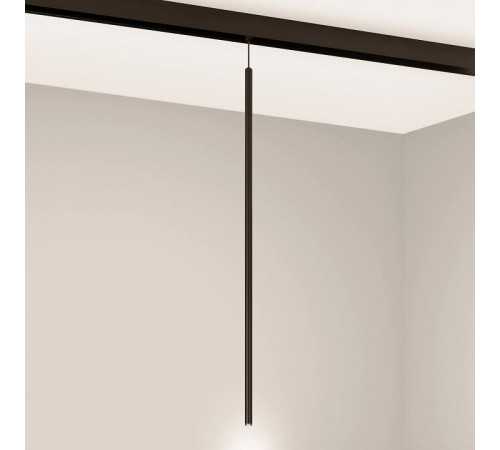 Трековый магнитный светильник Arlight MAG-ORIENT-SPOT-HANG-L600-R12-2W Warm3000 (BK, 20 deg, 48V) 044502