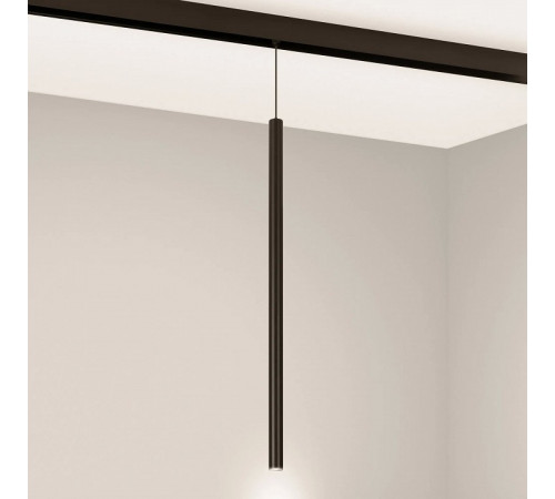 Трековый магнитный светильник Arlight MAG-ORIENT-SPOT-HANG-L500-R20-3W Warm3000 (BK, 20 deg, 48V) 046897