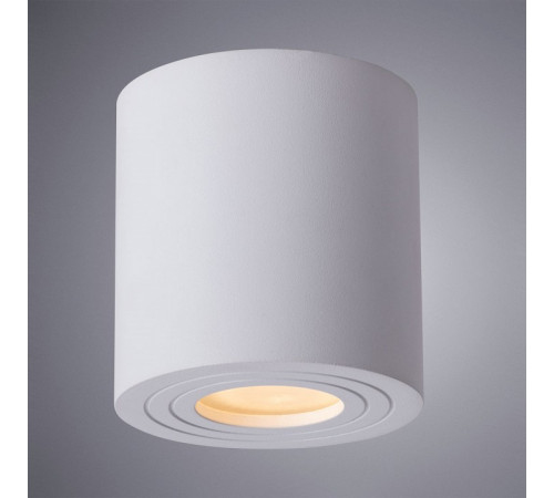 Накладной светильник ARTE Lamp A1460PL-1WH Накладной светильник ARTE Lamp A1460PL-1WH