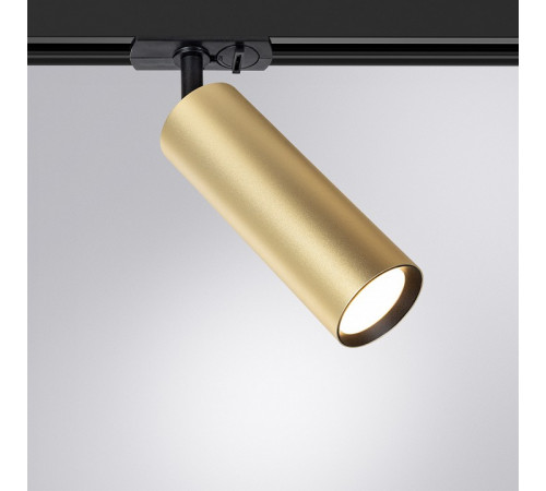 Трековый однофазный светильник Arte Lamp Beid A1515PL-1SG