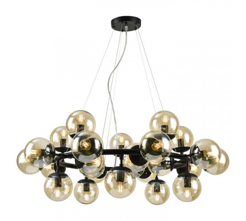 Подвесная люстра Arte Lamp A1664SP-25BK