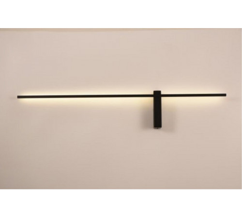 Настенный светильник Arte Lamp Phoenix A2025AP-1BK
