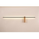 Настенный светильник Arte Lamp Phoenix A2025AP-1PB