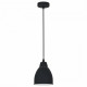 Подвесной светильник Arte Lamp Braccio A2054SP-1BK
