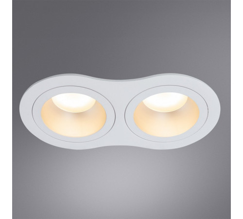 Встраиваемый светильник Arte Lamp Alkes A2161PL-2WH Встраиваемый светильник Arte Lamp Alkes A2161PL-2WH