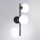 Бра Arte Lamp Gemini A2243PL-3BK