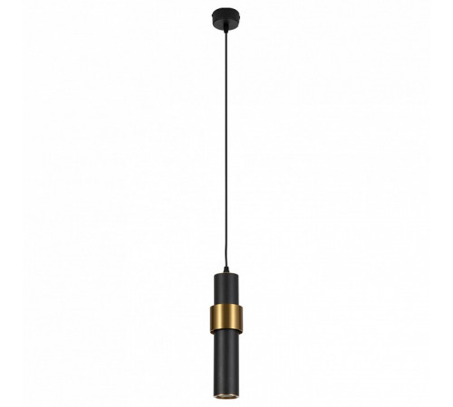 Подвесной светильник Arte Lamp Ran A3144SP-1BK