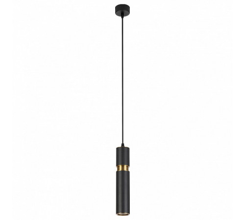 Подвесной светильник Arte Lamp Ran A3145SP-1BK Подвесной светильник Arte Lamp Ran A3145SP-1BK