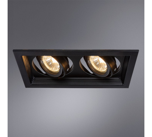 Встраиваемый светильник Arte Lamp Canis A6661PL-2BK Встраиваемый светильник Arte Lamp Canis A6661PL-2BK