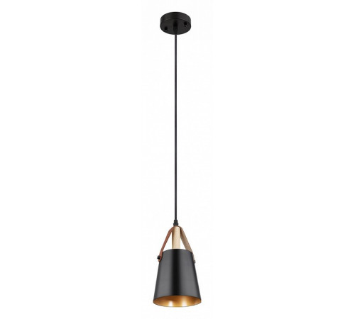 Подвесной светильник Arte Lamp Thomas A7032SP-1BK