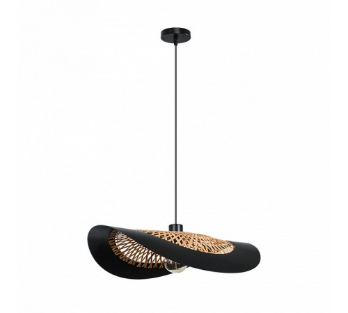 Подвесной светильник Arte Lamp Woodstock A7059SP-1BK Подвесной светильник Arte Lamp Woodstock A7059SP-1BK