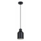 Подвесной светильник Arte Lamp Lark A7073SP-1BK