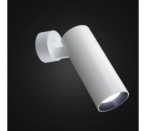 Спот Citilux Тубус CL01B120N
