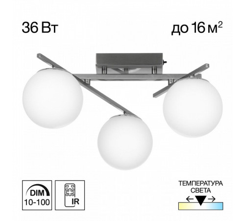 Потолочная люстра Citilux Dorsy CL223131
