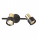 Спот Citilux Sat CL505621
