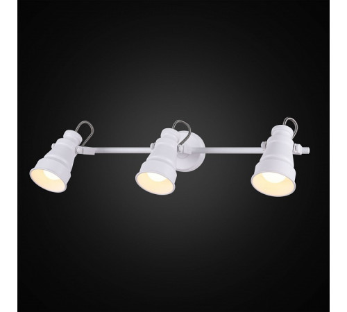Спот Citilux Бейкер CL541530