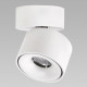 Спот Citilux CL558010N
