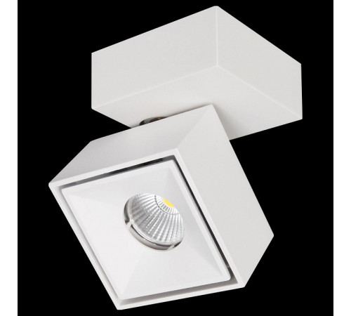 Спот Citilux CL558020N Спот Citilux CL558020N