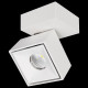 Спот Citilux CL558020N