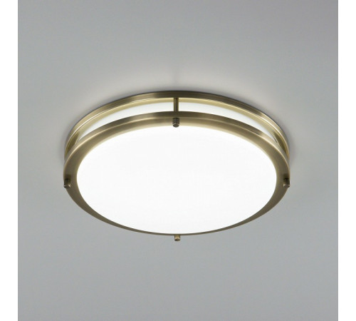 Потолочный светильник Citilux Бостон CL709323N
