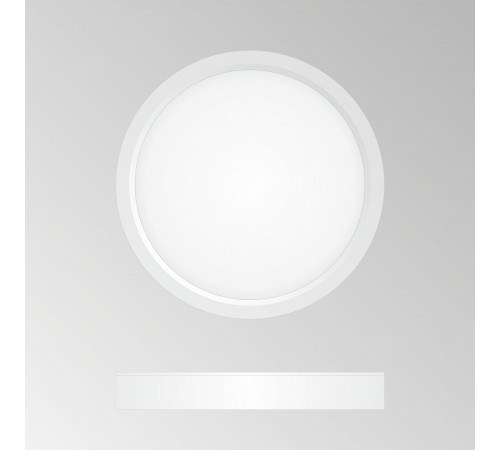 Накладной светильник Citilux CL738120N