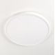 Накладной светильник Citilux CL738320V