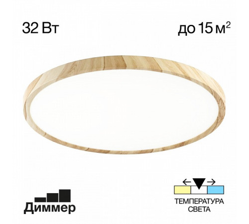 Потолочный светильник Citilux Бейсик CL738322V