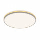 Потолочный светильник Citilux Norma CL748500