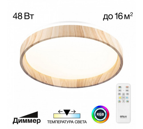 Потолочный светильник Citilux Enzo CL753352G
