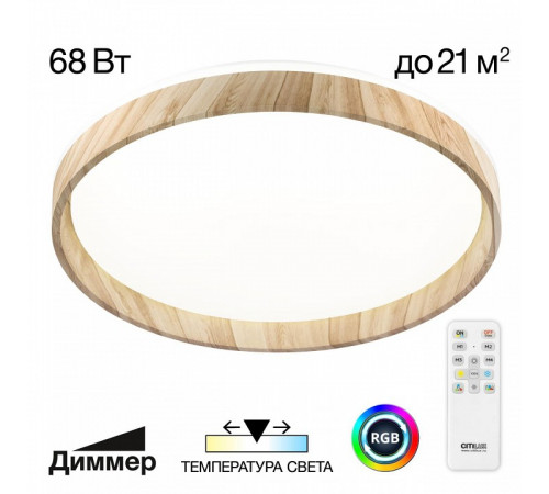 Потолочный светильник Citilux Enzo CL753452G