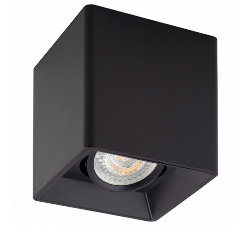 Потолочный светильник Denkirs DK3030-BK Потолочный светильник Denkirs DK3030-BK