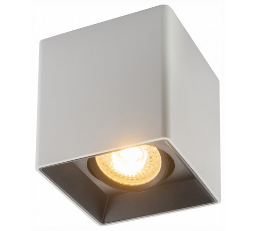 Накладной светильник Denkirs Dk3030 DK3030-WB Накладной светильник Denkirs Dk3030 DK3030-WB