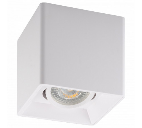 Потолочный светильник Denkirs DK3030-WH Потолочный светильник Denkirs DK3030-WH