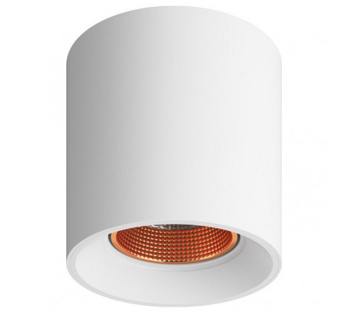 Накладной светильник Denkirs Dk3040 DK3090-WBR Накладной светильник Denkirs Dk3040 DK3090-WBR