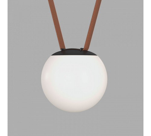 Трековый однофазный светильник Denkirs Belty orb DK5550-BK